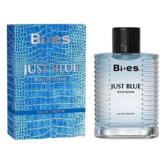 Bi Es Just Blue Туалетна вода для чоловіків (100 мл) Bi Es Just Blue Туалетна вода для чоловіків (100 мл)